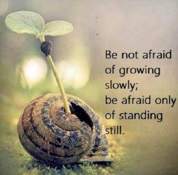 Not Afraid of Growing Slowly