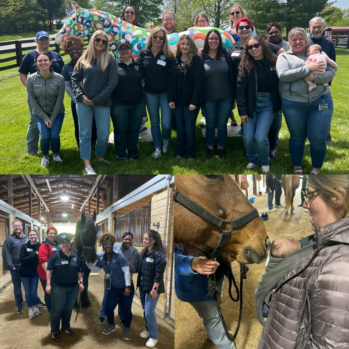 LMPD Victims Unit Equine Therapy Day at Willow Hope Farm